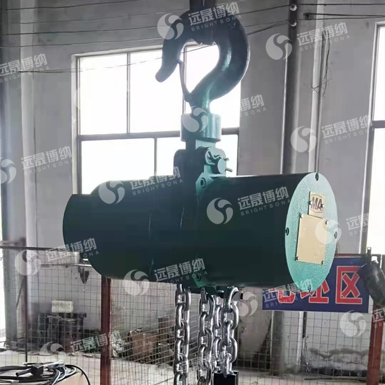 工廠用環(huán)鏈氣動葫蘆